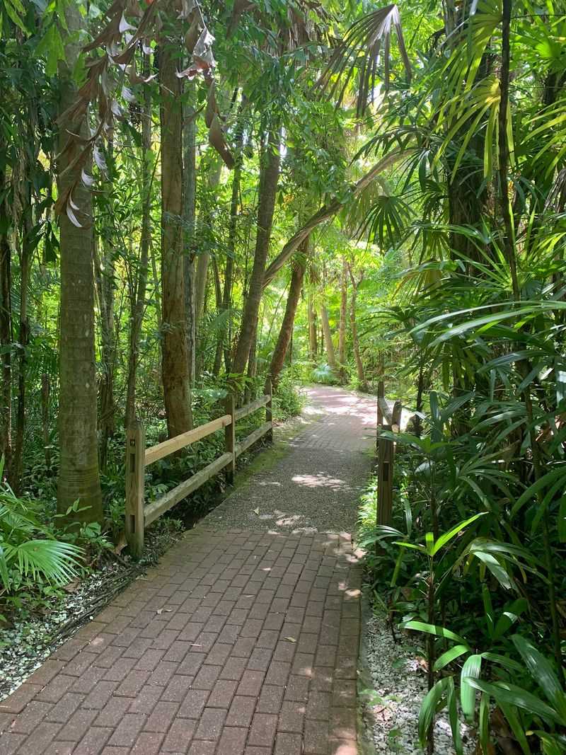 A Ten-Acre Jungle Tucked Off Bay Shore Road