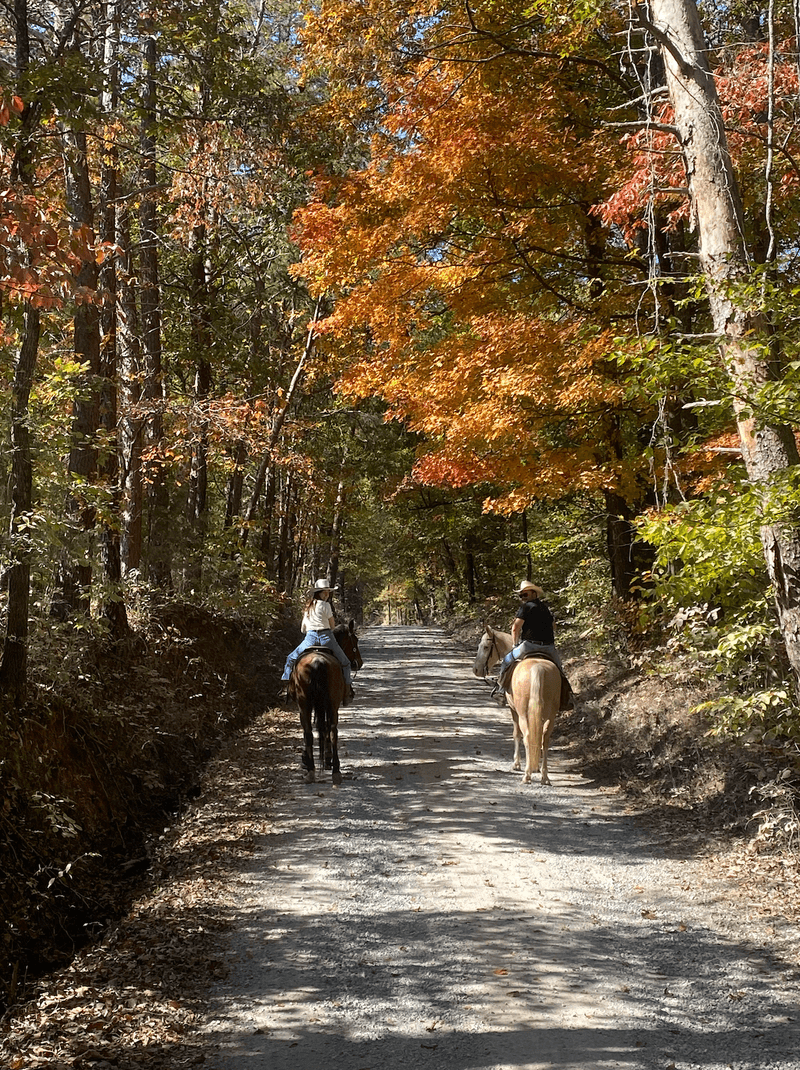 A Tennessee Dude & Guest Ranch, Dunlap, TN A Tennessee Dude & Guest Ranch, Dunlap, TN
