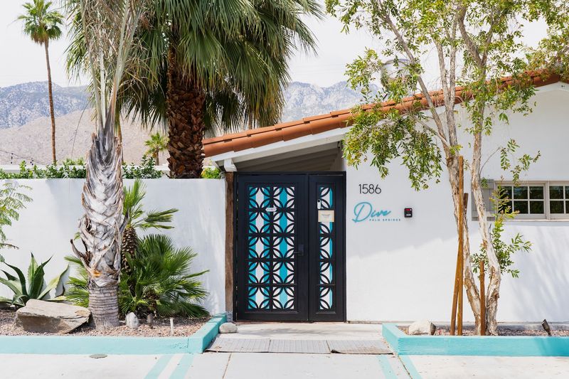 A Tiny Oasis on East Palm Canyon Drive A Tiny Oasis on East Palm Canyon Drive