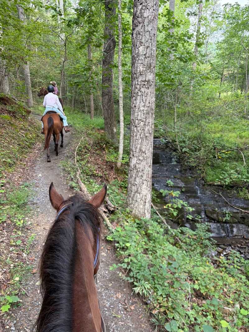 A Trail Ride That Starts at the Forest Edge A Trail Ride That Starts at the Forest Edge