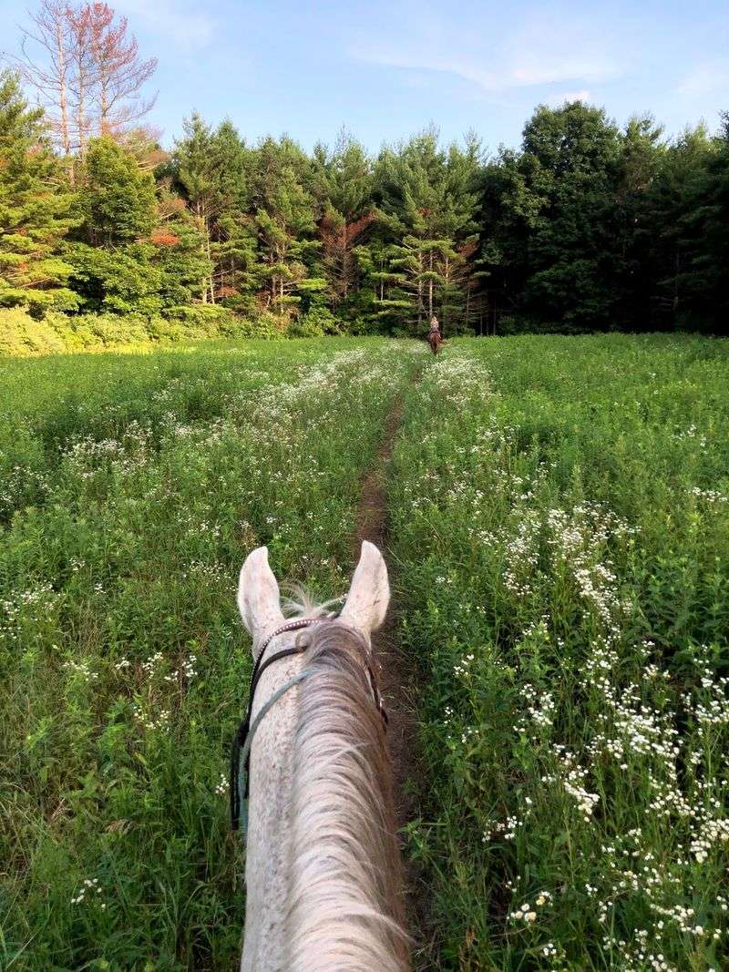 A Trail Ride Worth Making Time For