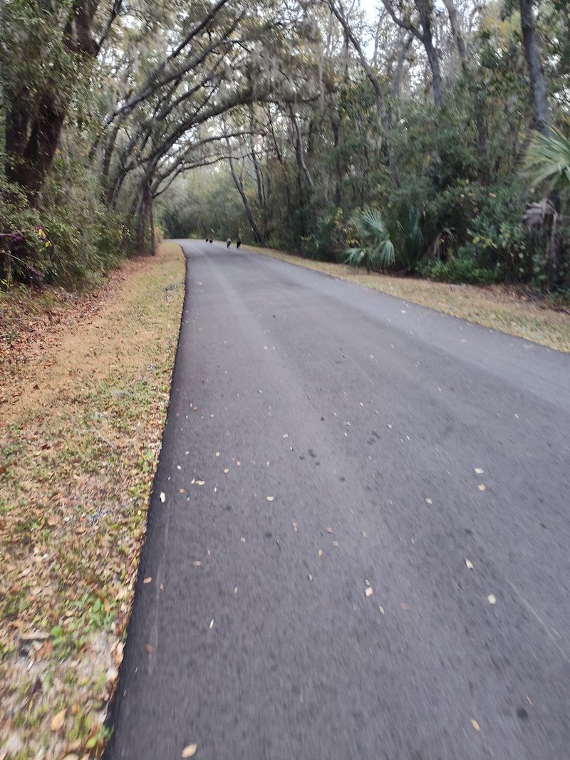 A Training Ground From 5K to Marathon A Training Ground From 5K to Marathon