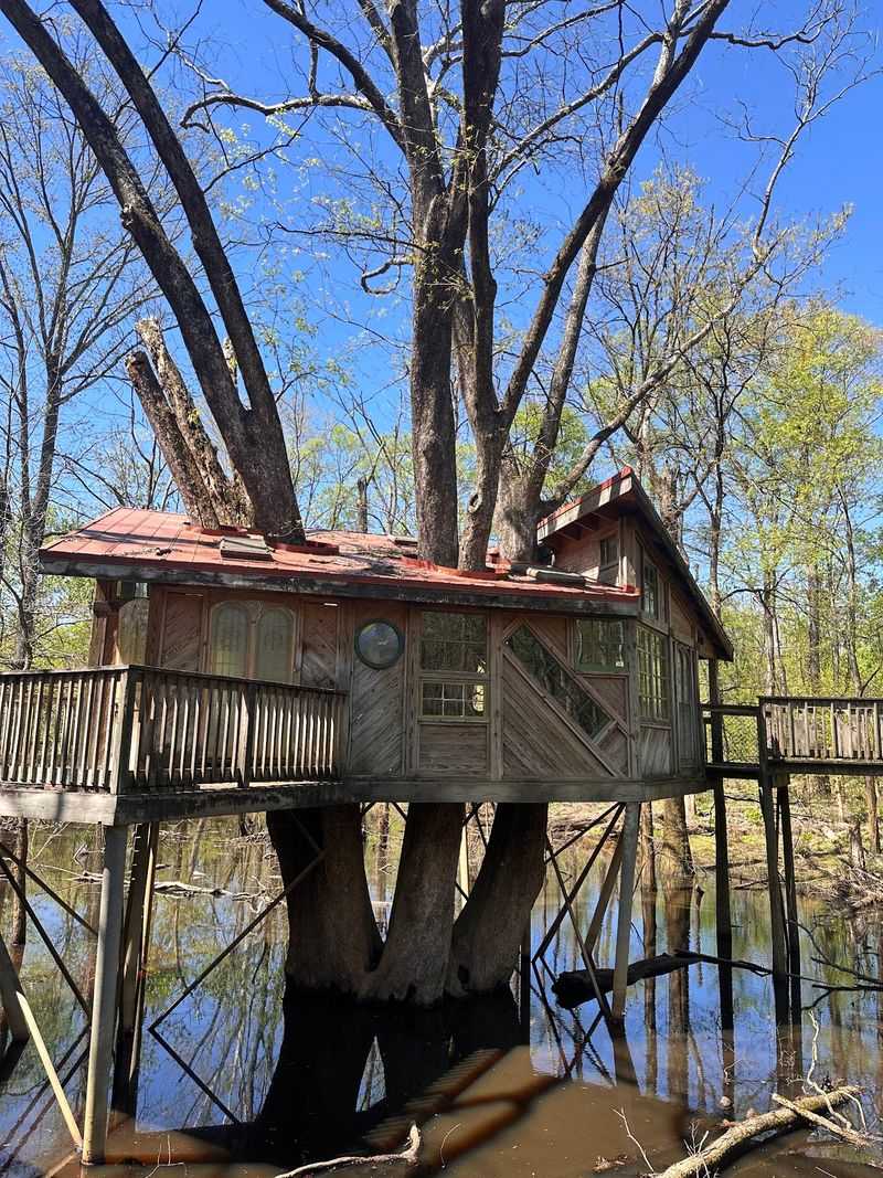 A Tree House Worth the Walk A Tree House Worth the Walk