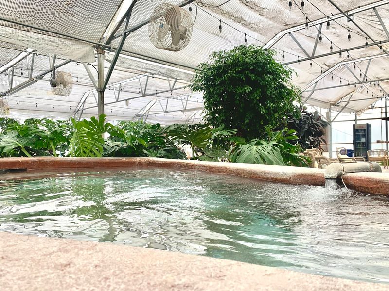 A Tropical Room in a Dry Valley A Tropical Room in a Dry Valley