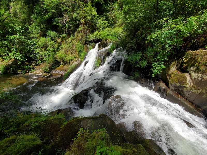 A Waterfall Hiding Near Sweet Creek