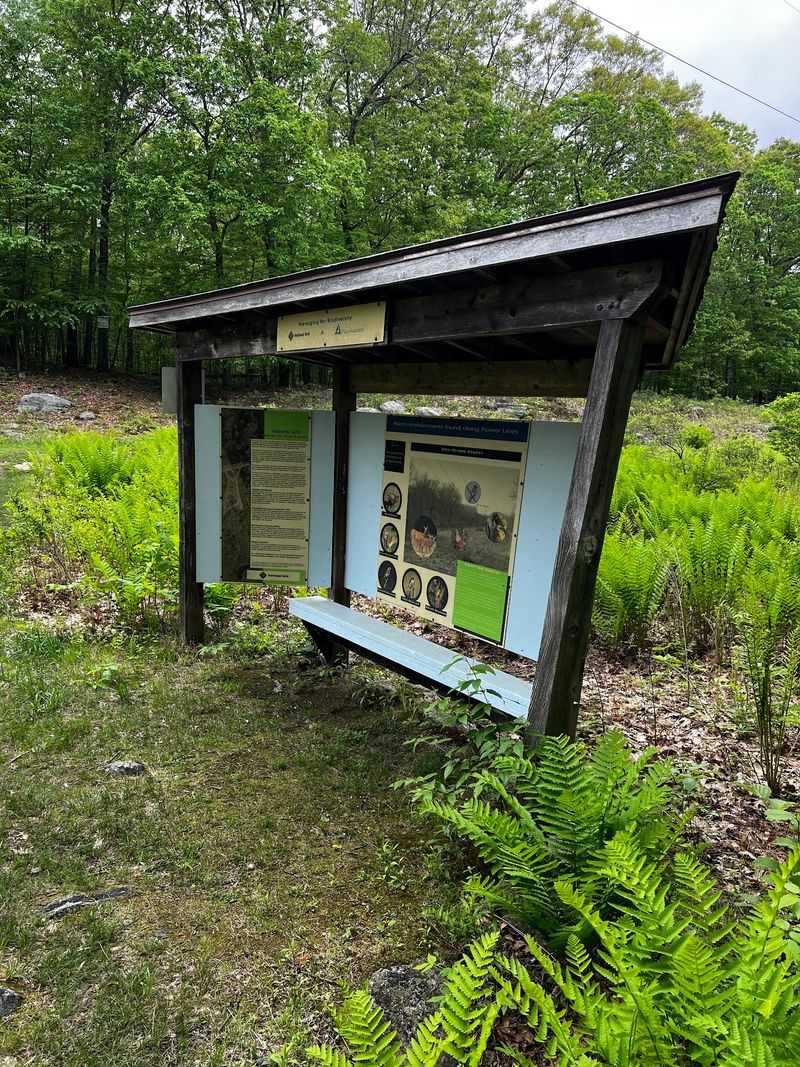 A Wild Pocket Inside Worcester City Limits