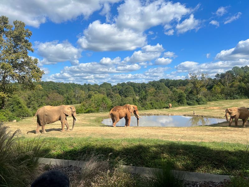 A Wild World Tucked Into the Piedmont A Wild World Tucked Into the Piedmont