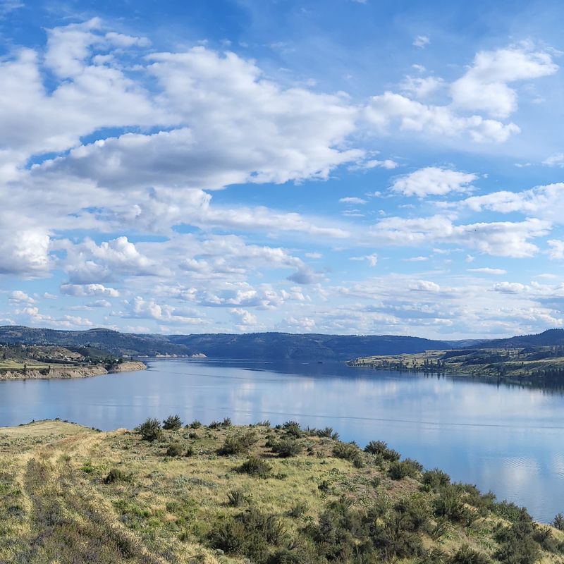 A Wilderness Built Around One Vast Reservoir A Wilderness Built Around One Vast Reservoir