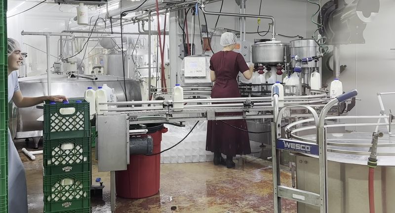 A Window Into Bottling Day