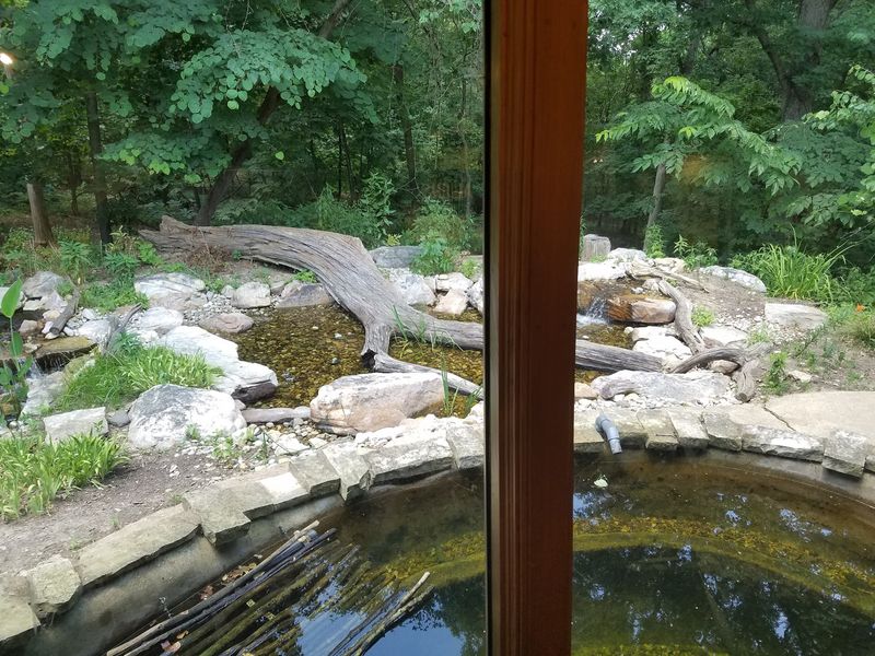 A Window on the Wild Side