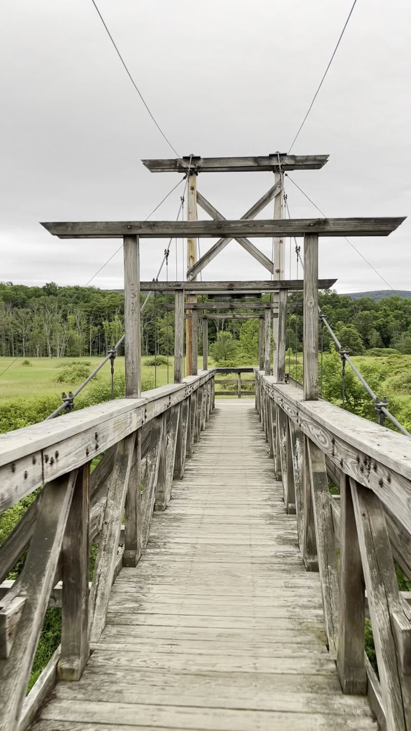 A Wobbly Little Wonder on the Appalachian Trail