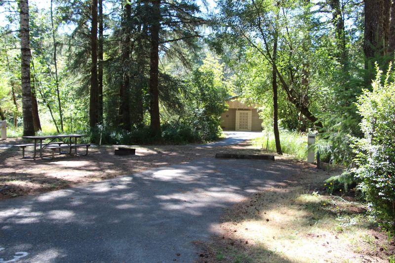A Wooded Campground With Room to Breathe A Wooded Campground With Room to Breathe