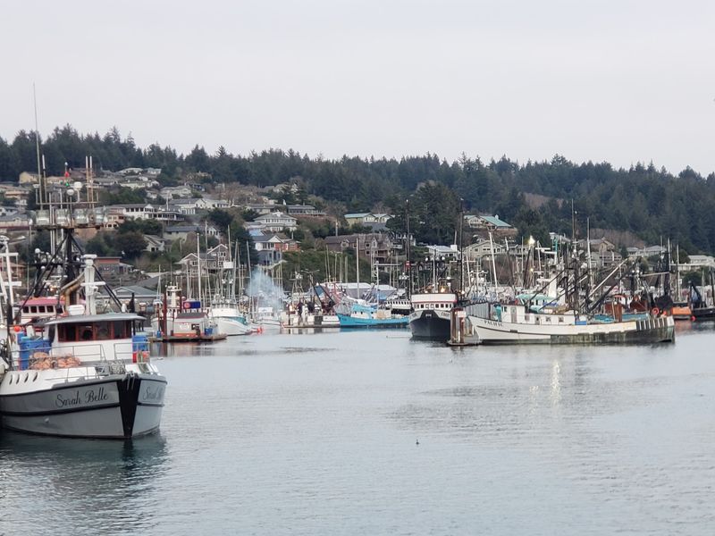 A Working Waterfront on Yaquina Bay