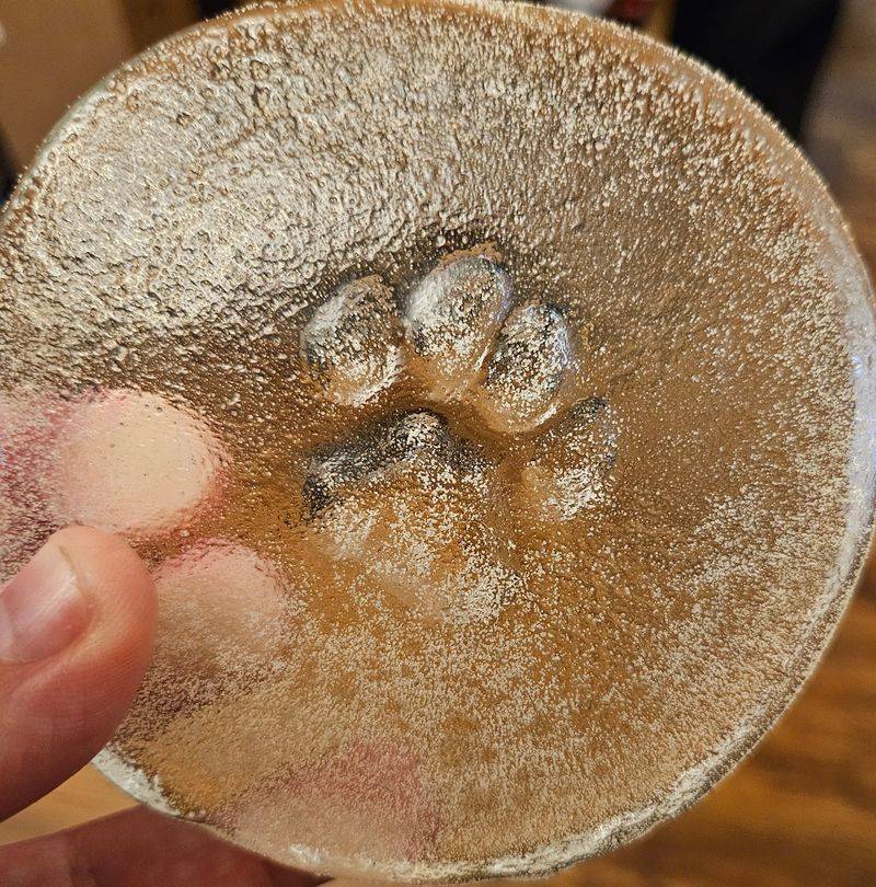 A pet's paw in glass A pet's paw in glass