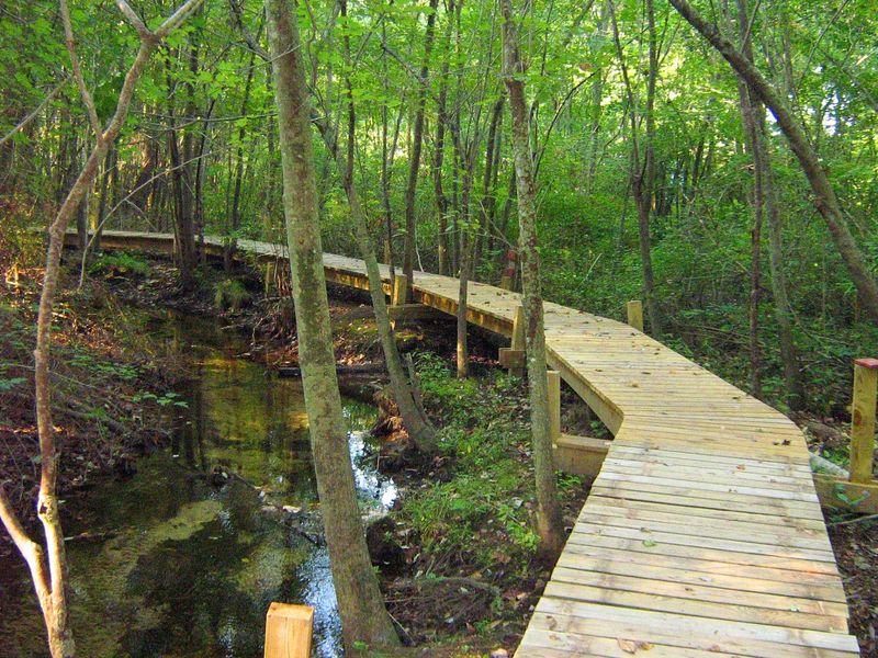 Abbott's Mill Nature Center, Milford, Delaware