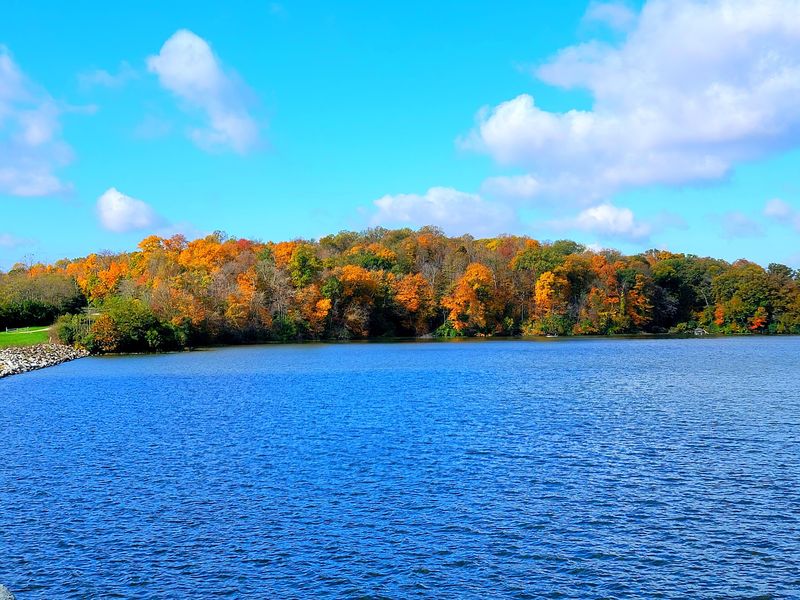 Acton Lake at the Heart of Everything Acton Lake at the Heart of Everything