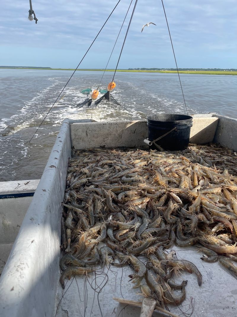 Adams Shrimp - Fresh off the Boat, Yulee, FL Adams Shrimp - Fresh off the Boat, Yulee, FL