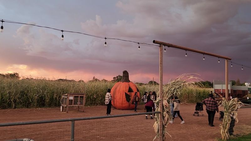 After Dark in the Haunted Maze After Dark in the Haunted Maze