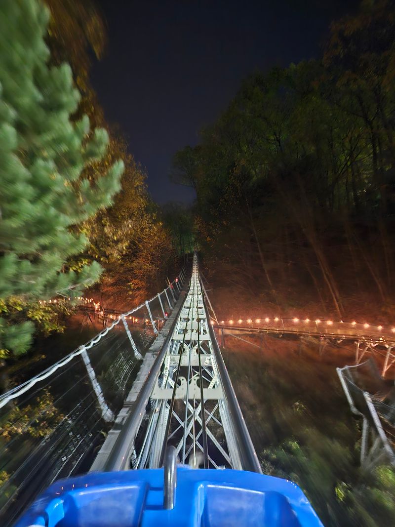 After Dark, the Woods Start Glowing After Dark, the Woods Start Glowing