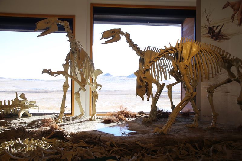 Agate Fossil Beds National Monument, Harrison, Nebraska Agate Fossil Beds National Monument, Harrison, Nebraska