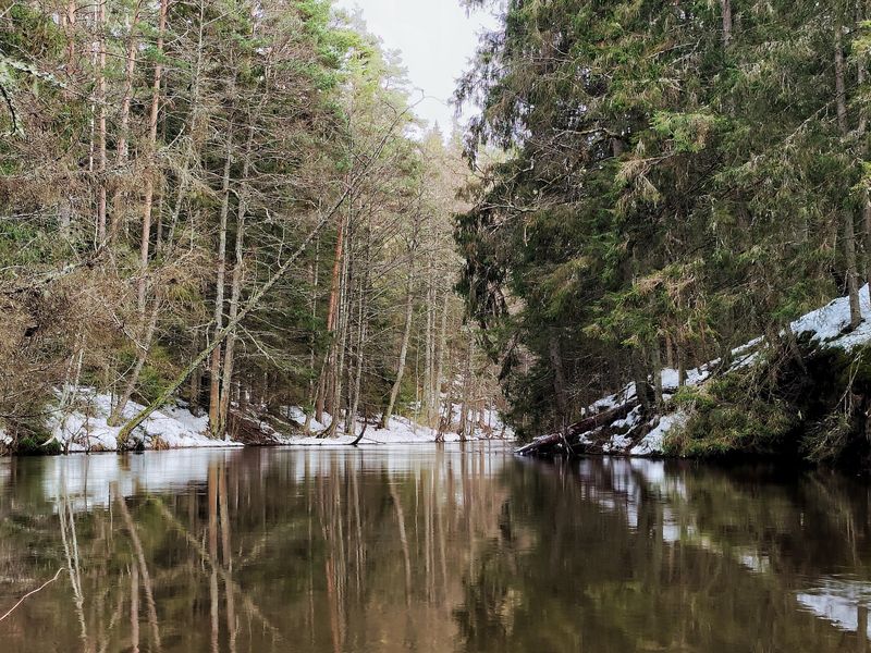 Ahja River, Estonia