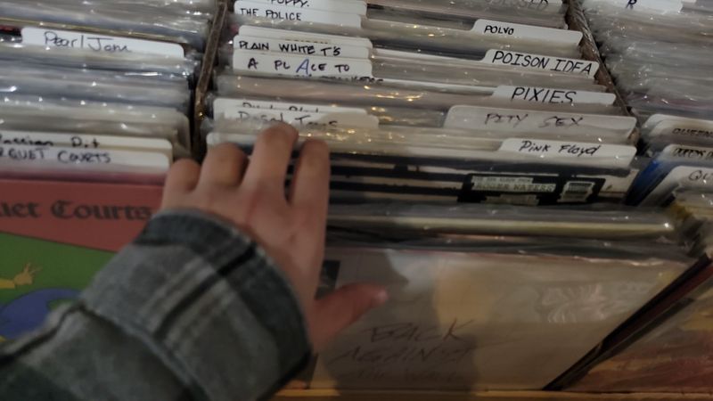 Alphabetical Bins and Artist Dividers