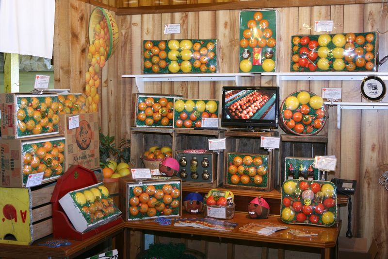 Al's Family Farms Citrus, Fort Pierce, FL Al's Family Farms Citrus, Fort Pierce, FL