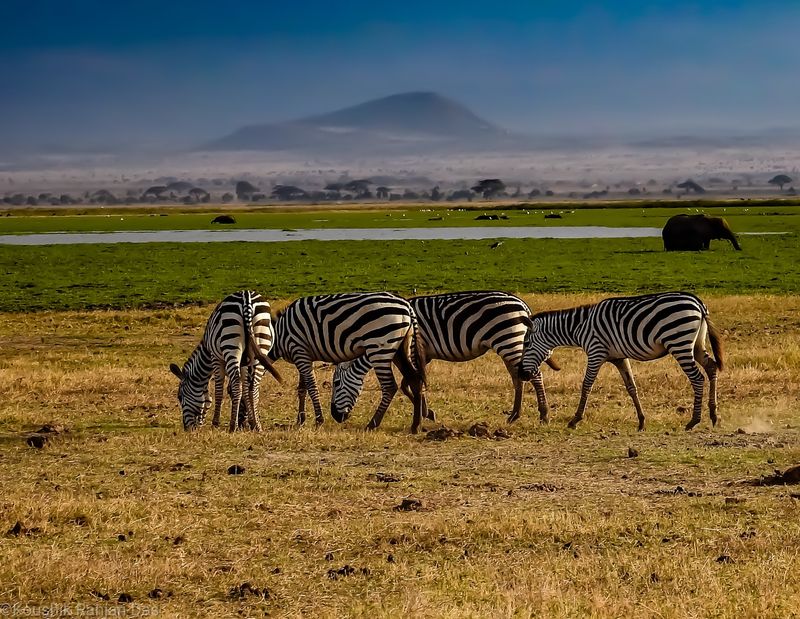 Amboseli National Park, Kenya