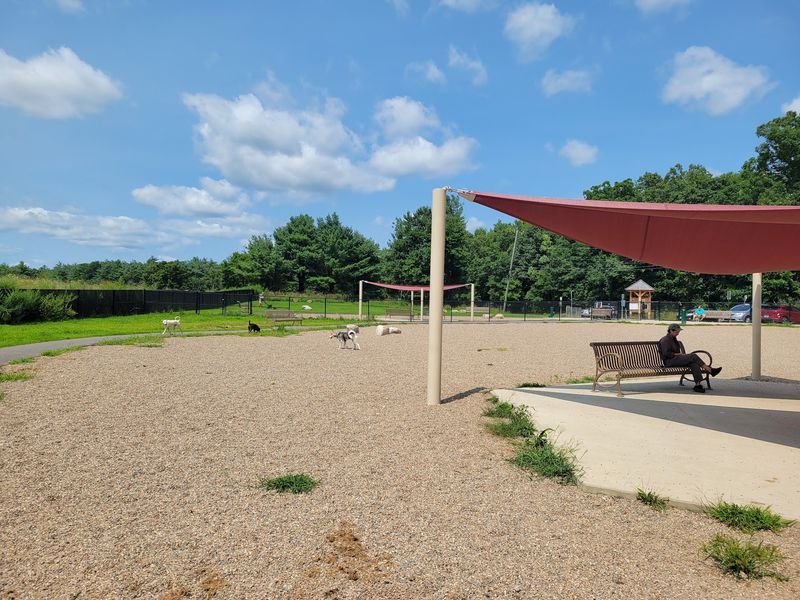 Amherst Dog Park Amherst Dog Park