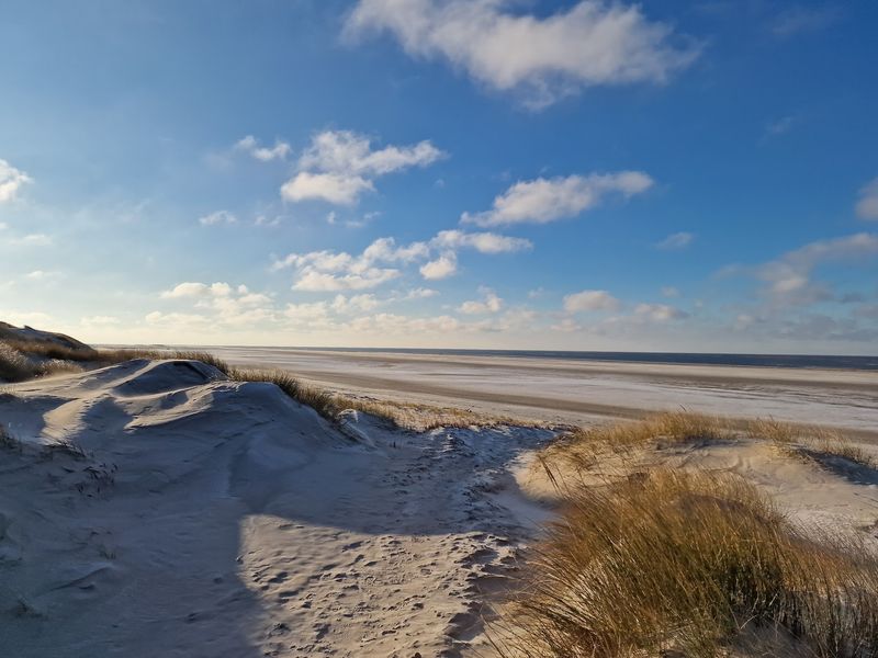 Amrum Amrum