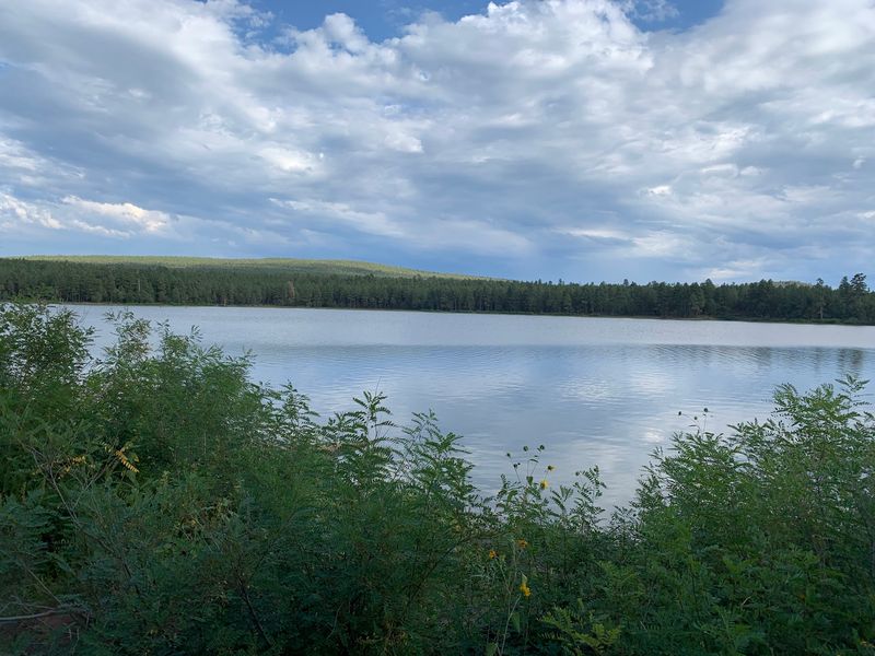 An 80-Acre Lake Hiding in the Arizona Woods An 80-Acre Lake Hiding in the Arizona Woods