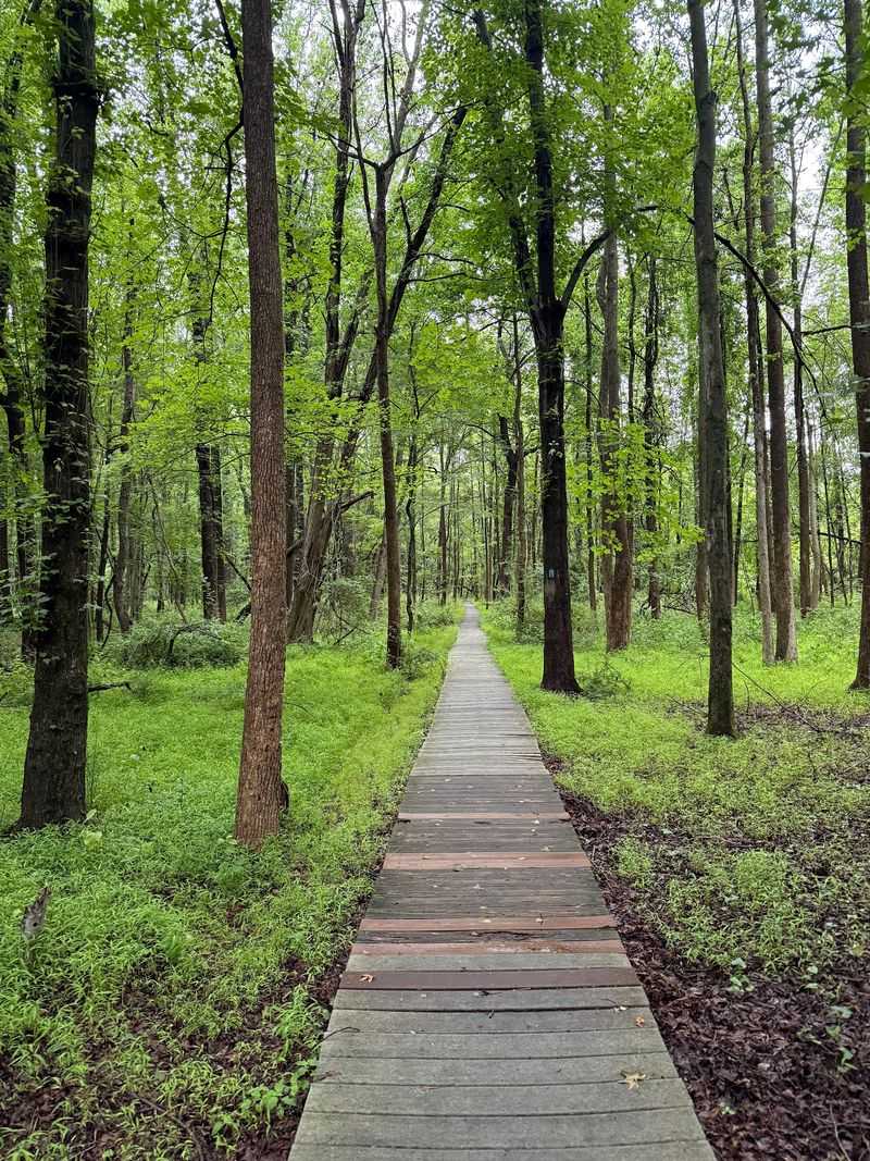 An Everyday Walk With More Purpose An Everyday Walk With More Purpose