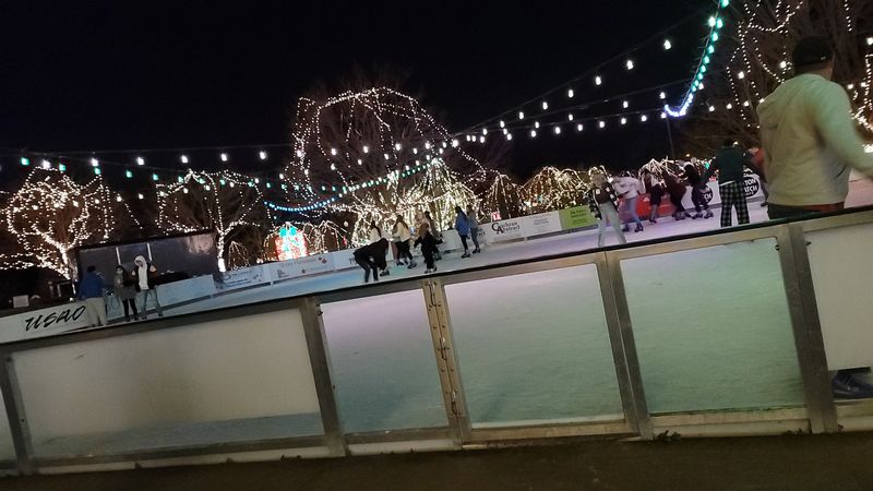An Ice Rink and Mugs of Hot Chocolate