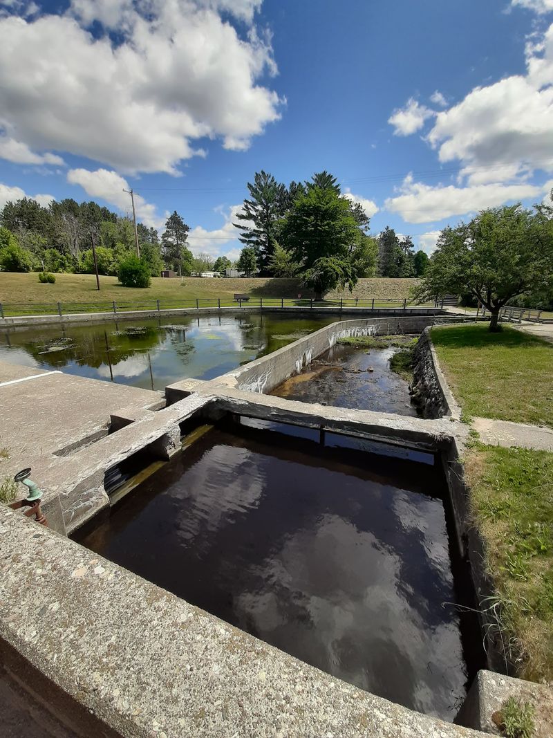 An Old Fish Hatchery With Deep Roots