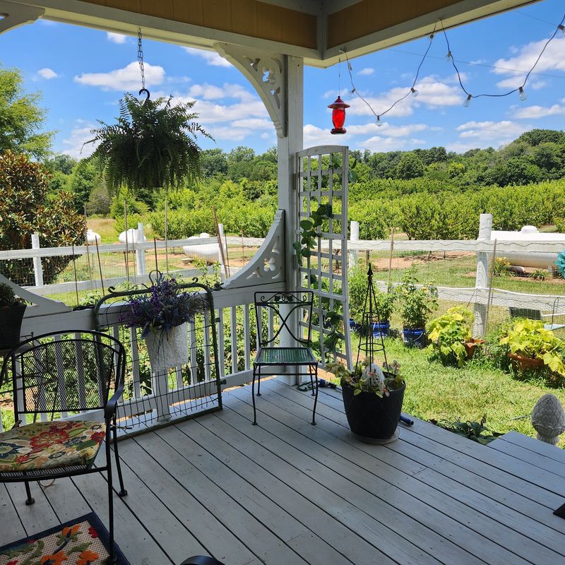 An Old-School Farm Without a Website