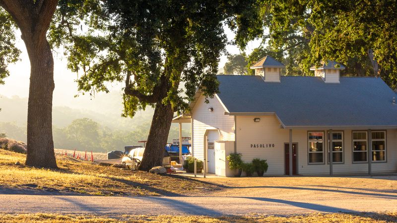 An Olive Mill Among the Vineyards