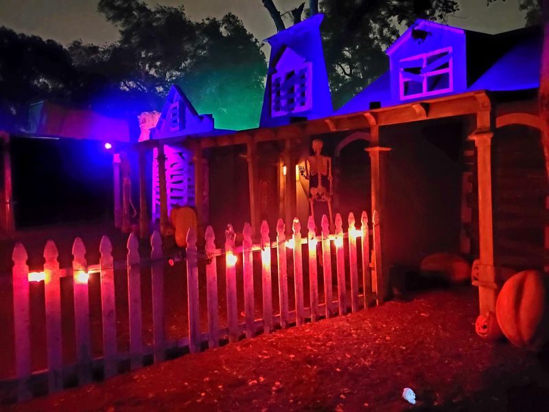 An Open-Air Haunt in the Heart of San Diego An Open-Air Haunt in the Heart of San Diego