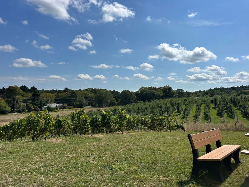 An Orchard Built for Easy Wandering An Orchard Built for Easy Wandering