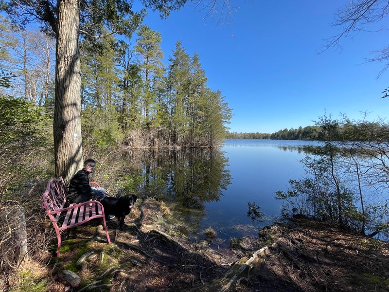 An Outing for Unhurried Plans