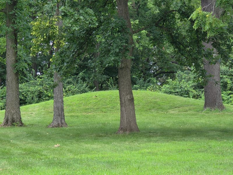 Ancient Mounds Hiding on the Same Grounds