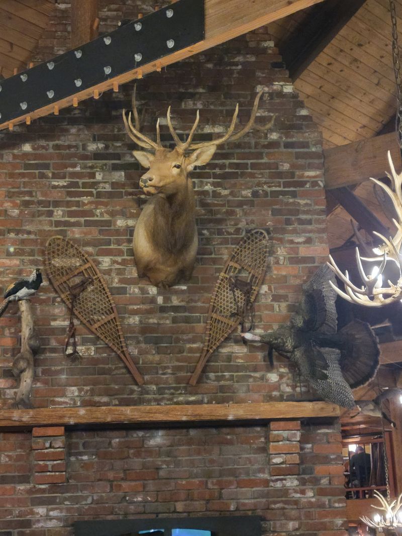 Antler Chandeliers and Mounted Wildlife
