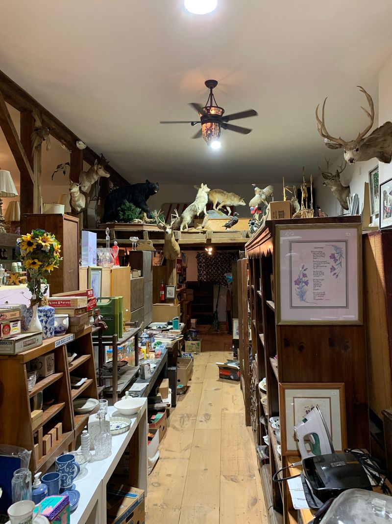 Antlers, Old Reels, and Rustic Charm Antlers, Old Reels, and Rustic Charm