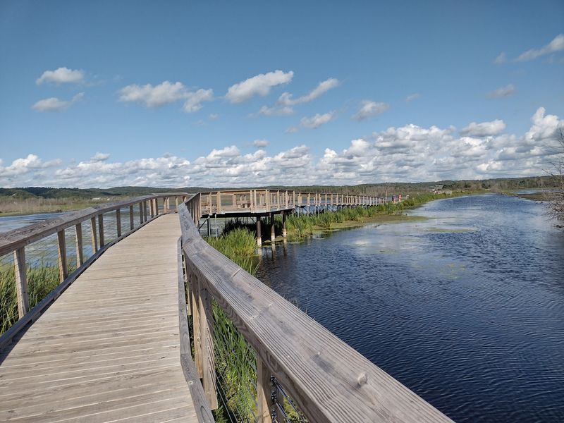 Arcadia Marsh Nature Preserve, Arcadia, Michigan