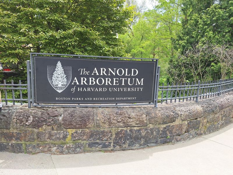 Arnold Arboretum, Boston, Massachusetts Arnold Arboretum, Boston, Massachusetts
