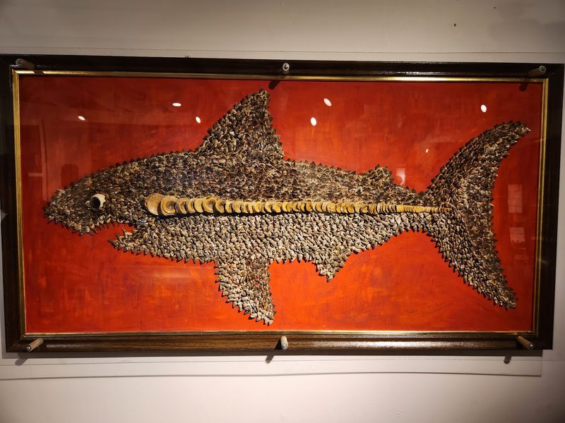 Artwork Made From Shark Teeth Artwork Made From Shark Teeth