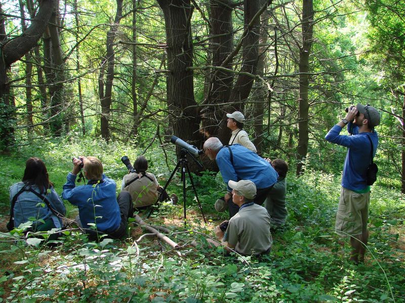 Ashland Nature Center, Hockessin, Delaware