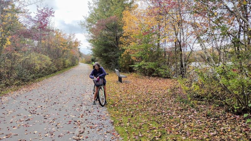 Ashuwillticook Rail Trail