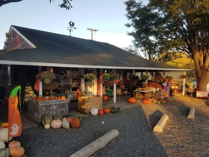 Atlantic Farm Market, Manasquan, NJ