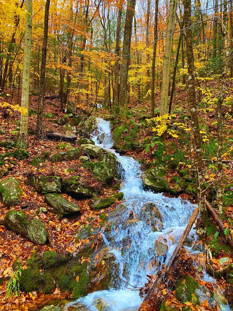Autumn Color Season Autumn Color Season