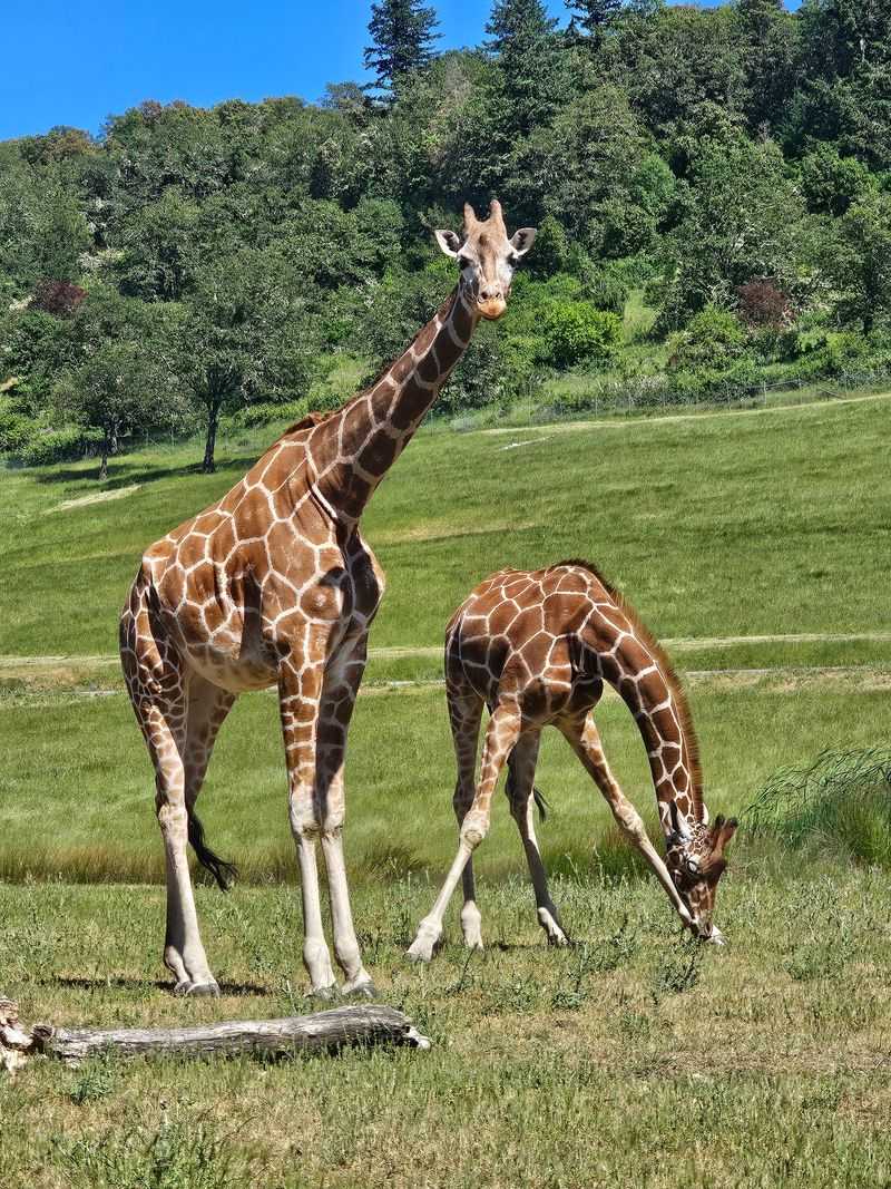 Baby Animals, Quiet Mornings, and Seasonal Timing